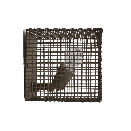 Industrial Caged Sconce