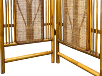 Rattan and Cane Arched Screen