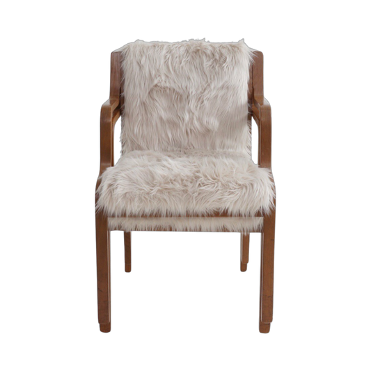 Swedish Bentwood Chair by Stendig, 1960s