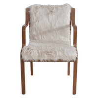 Swedish Bentwood Chair by Stendig, 1960s