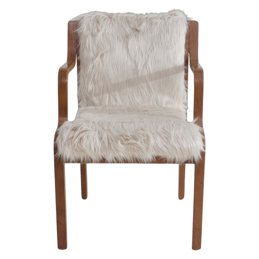 Swedish Bentwood Chair by Stendig, 1960s