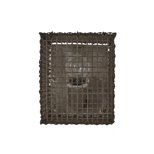 Industrial Caged Sconce