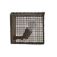 Industrial Caged Sconce