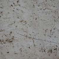 Fossilized Stone Coffee Table