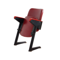 LV8 Cinema Chair by Gastone Rinaldi for Rima, 1950s
