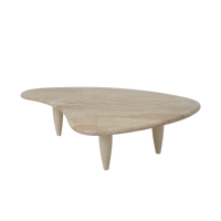 Biomorphic Marble Coffee Table