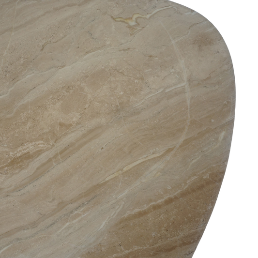 Biomorphic Marble Coffee Table