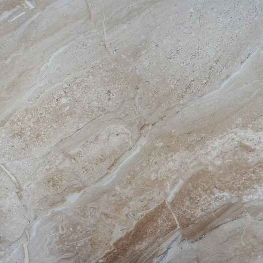 Biomorphic Marble Coffee Table