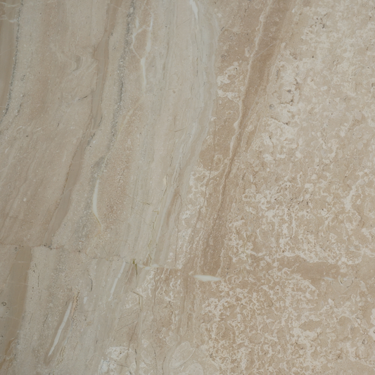 Biomorphic Marble Coffee Table