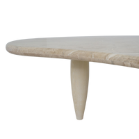 Biomorphic Marble Coffee Table