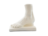 Foot Sculpture