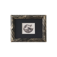 Sleeping Cat Rolled Into a Ball, 9x7