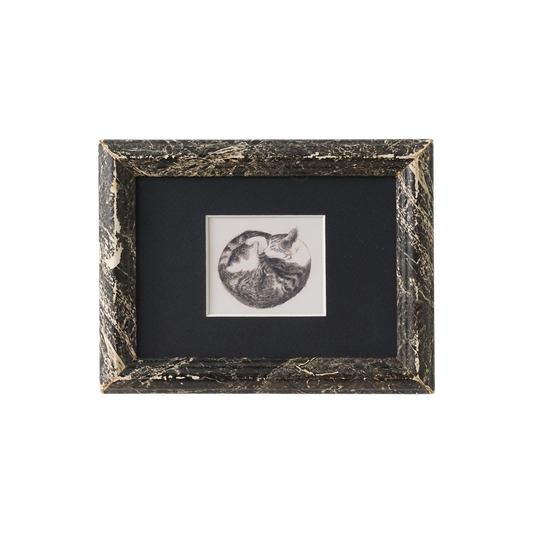 Sleeping Cat Rolled Into a Ball, 9x7