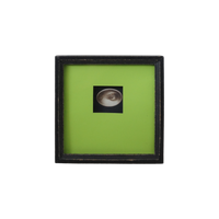 Scherzo di Follia, 6x6