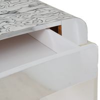 Lucite Vanity with Unique Wood Veneer