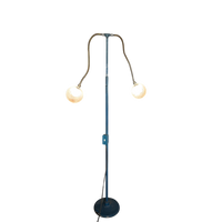 Adjustable Gooseneck Arm Castiron Lamp