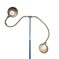 Adjustable Gooseneck Arm Castiron Lamp