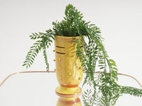 Handmade Pottery Vase